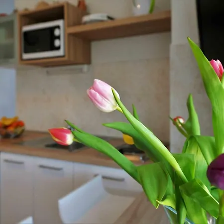 Dora Appartement Murter