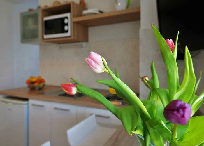 Dora Apartmán Murter